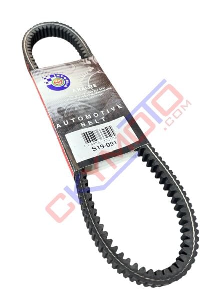 DİO KAYIŞ S19-091 A KALİTE