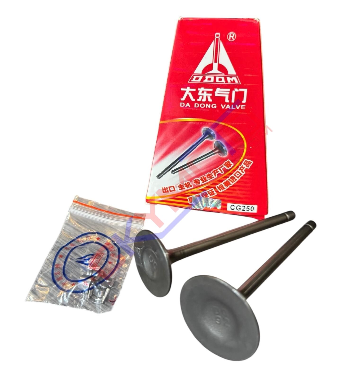CG 250 SUBAP TAKIM DQ